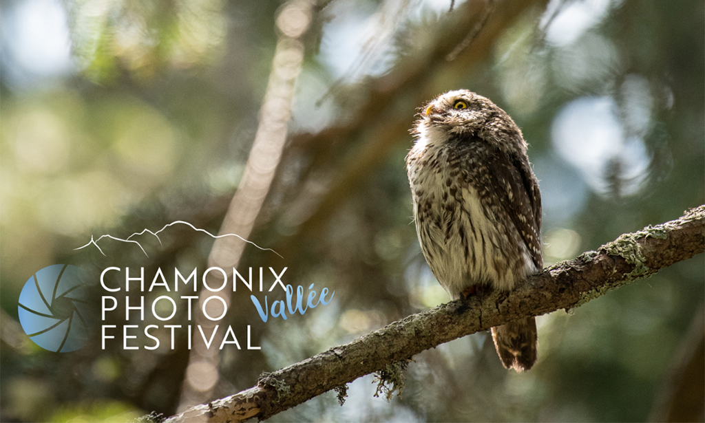 Chamonix Photo Festival 2024 : Appel à candidature