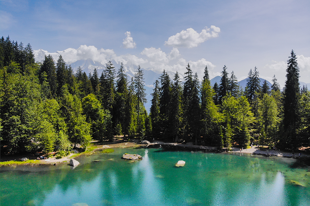 Lac Vert, Passy